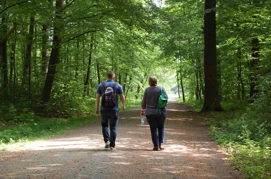 wandern Wald Ihler Forst