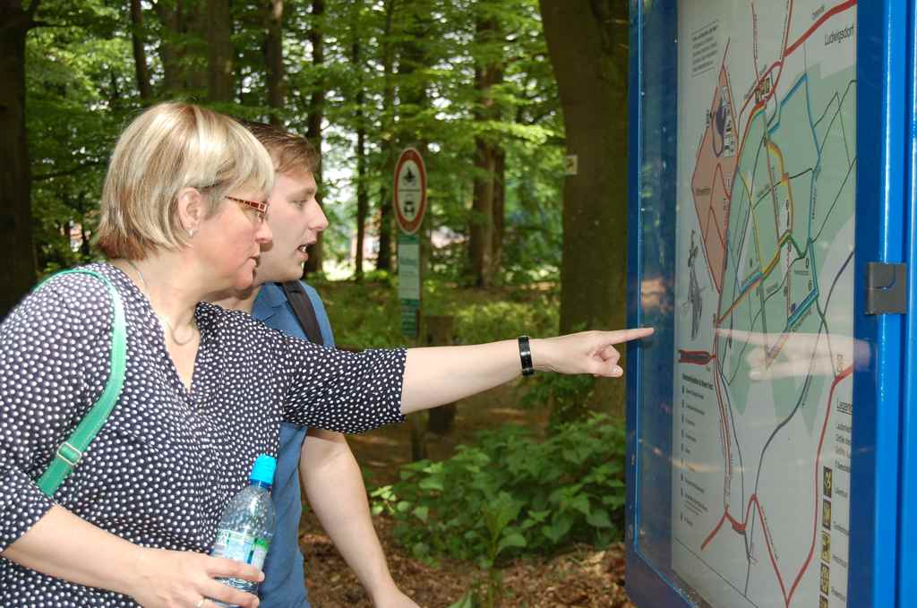 wandern Wald Ihler Forst